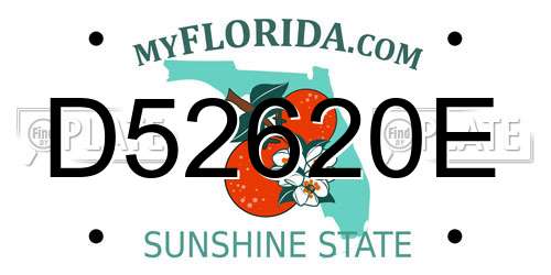 D52620E Florida License Plate