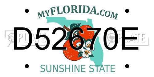D52670E Florida License Plate