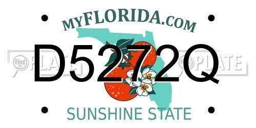 D5272Q Florida License Plate