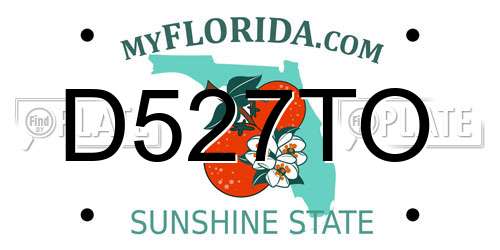 D527TO Florida License Plate