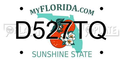 D527TQ Florida License Plate