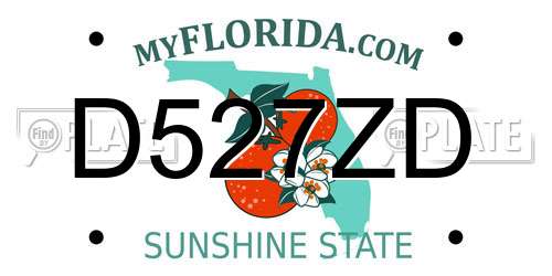 D527ZD Florida License Plate