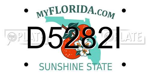 D5282I Florida License Plate