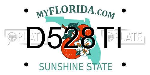 D528TI Florida License Plate