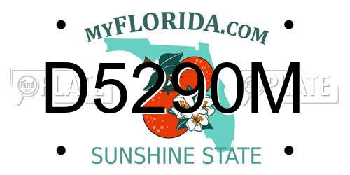D5290M Florida License Plate