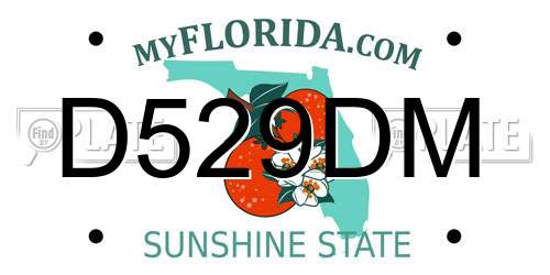 D529DM Florida License Plate