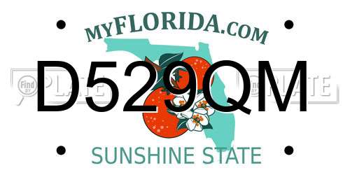 D529QM Florida License Plate