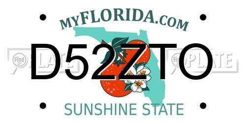 D52ZTO Florida License Plate