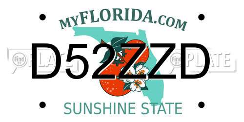 D52ZZD Florida License Plate
