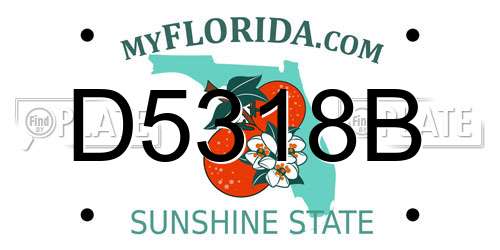 D5318B Florida License Plate