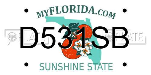 D531SB Florida License Plate