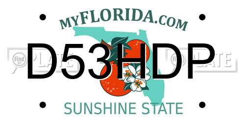 D53HDP Florida License Plate
