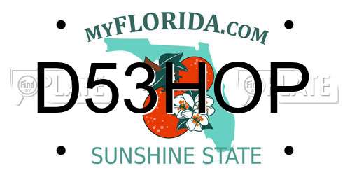 D53HOP Florida License Plate