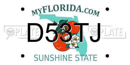D53TJ Florida License Plate