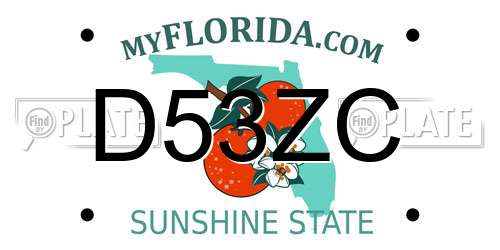 D53ZC Florida License Plate