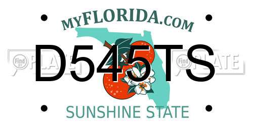 D545TS Florida License Plate