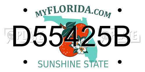 D55425B Florida License Plate