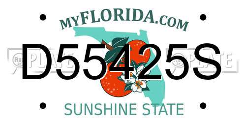 D55425S Florida License Plate