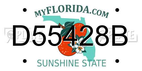 D55428B Florida License Plate