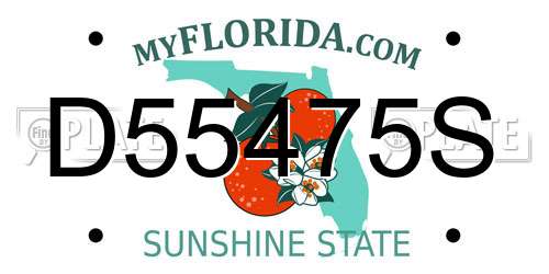 D55475S Florida License Plate