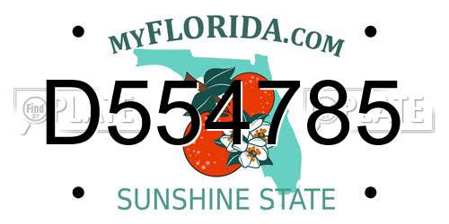 D554785 Florida License Plate