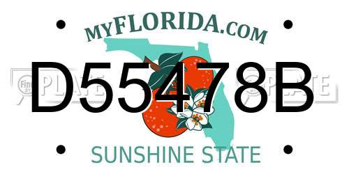 D55478B Florida License Plate