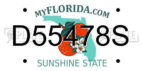 D55478S Florida License Plate