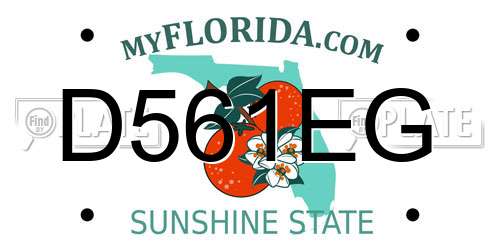 D561EG Florida License Plate