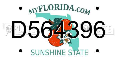 D564396 Florida License Plate