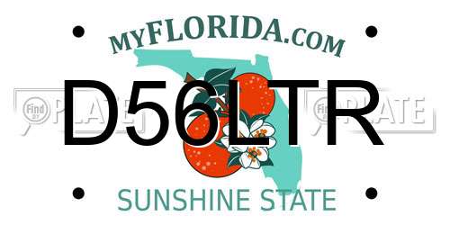D56LTR Florida License Plate