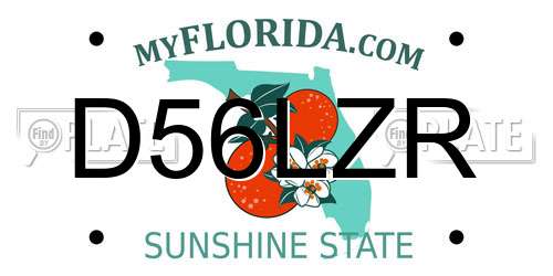 D56LZR Florida License Plate