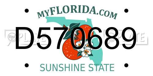 D570689 Florida License Plate