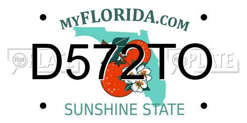 D572TO Florida License Plate