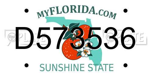 D573536 Florida License Plate