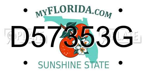 D57353G Florida License Plate