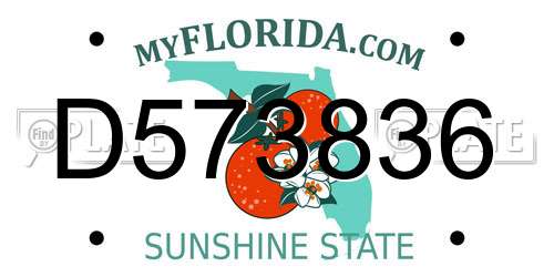 D573836 Florida License Plate