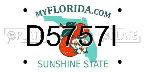 D5757I Florida License Plate