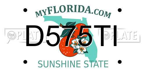 D575TI Florida License Plate