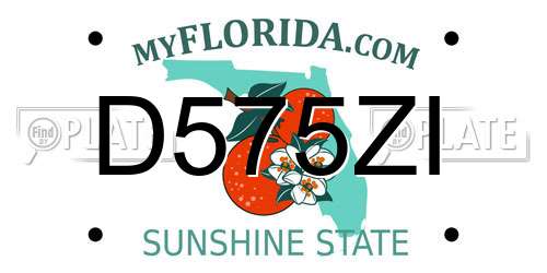 D575ZI Florida License Plate