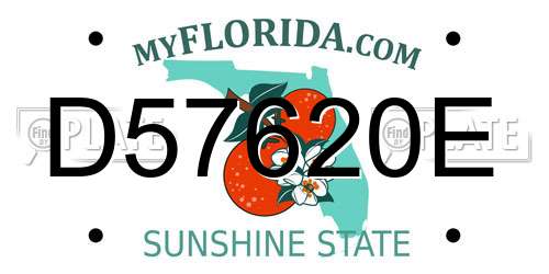 D57620E Florida License Plate