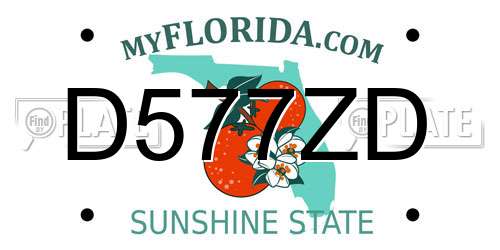 D577ZD Florida License Plate