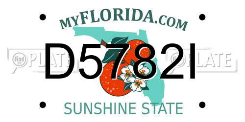 D5782I Florida License Plate