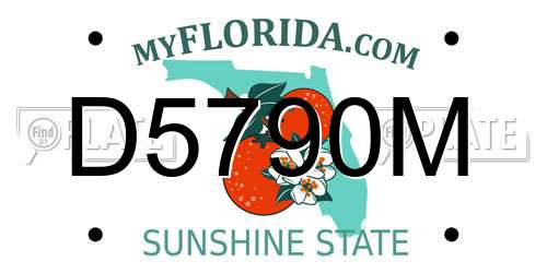 D5790M Florida License Plate
