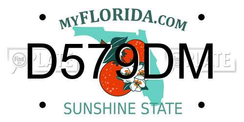 D579DM Florida License Plate