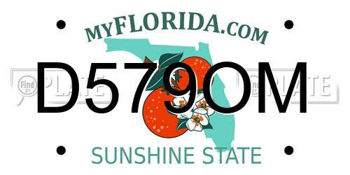 D579OM Florida License Plate
