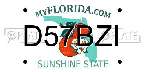 D57BZI Florida License Plate