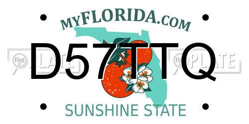 D57TTQ Florida License Plate