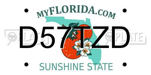 D57TZD Florida License Plate