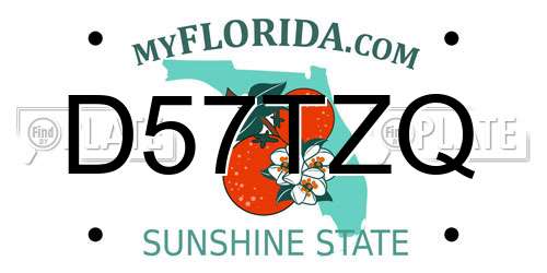 D57TZQ Florida License Plate