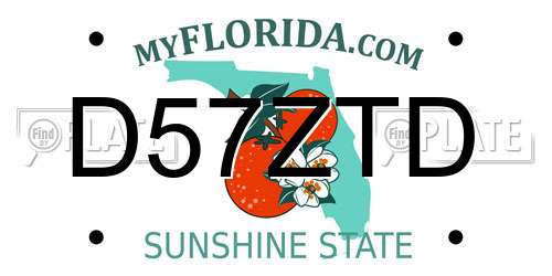 D57ZTD Florida License Plate